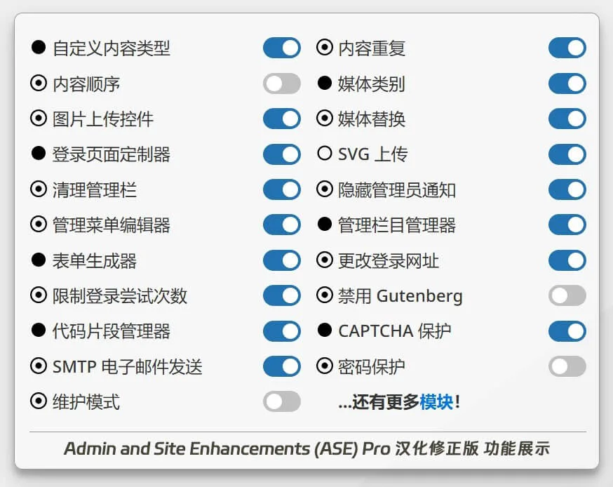 Admin and Site Enhancements (ASE) Pro 汉化版 – WP 增强工具箱