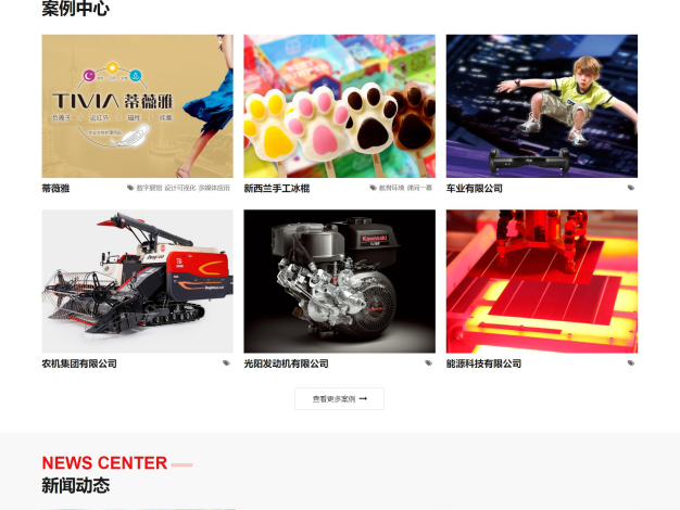 互联网网站设计建设网站模板